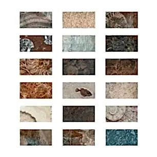 FOSSIL MIX PORSELEN HAVUZ SERAMİĞİ