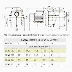 2 HP TRIFAZE SENKRON2 HAVUZ POMPASI
