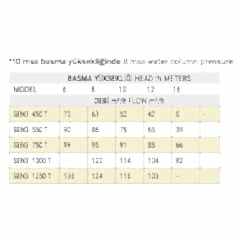 5,5 HP TRIFAZE SENKRON3 HAVUZ POMPASI