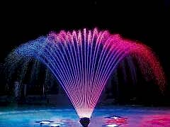 12 Nozullu Yelpaze Fıskiye